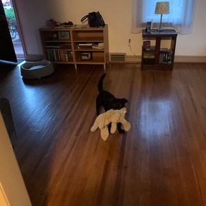 Fundraising Page: Megan Sullivan